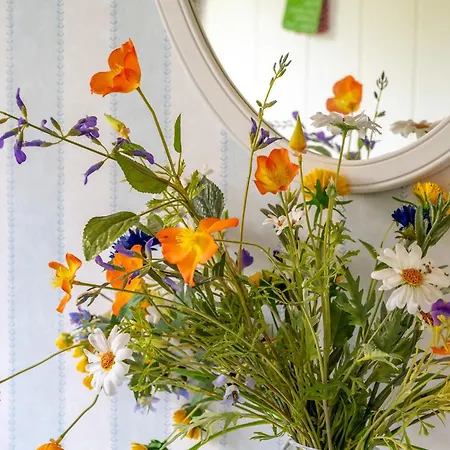 Tatil Evi Reetdachhaus Ohl Doerp *